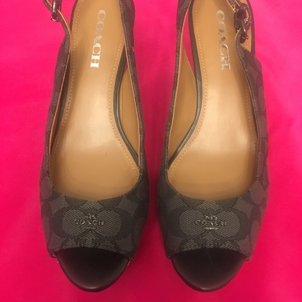 Coach Signature Platforms